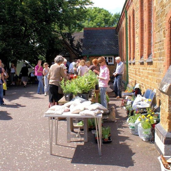 Plant Stall at the Church Fete
