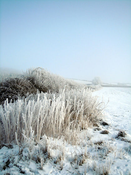 Hoar-frost